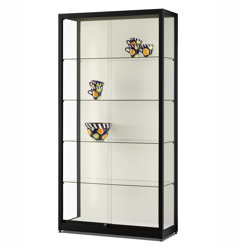 Glasskåp med LED-list Glasmonter med LED-list, 100x40x200 cm